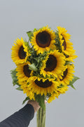 Sunny Bouquet