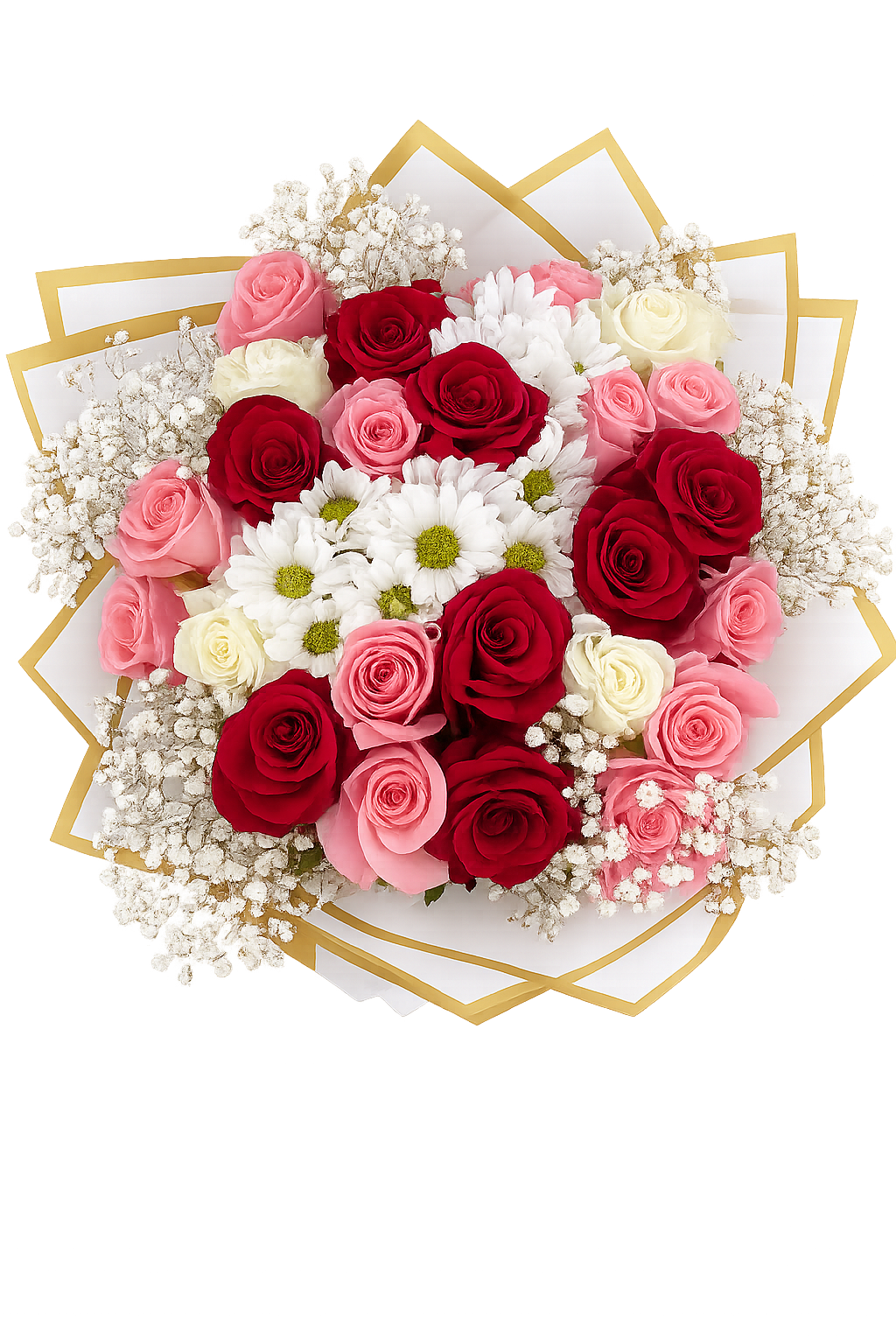 Pink and Red Roses